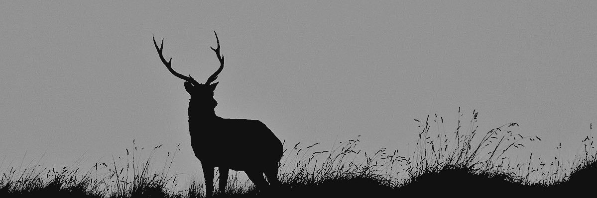 𝐣𝐨𝐧𝐢𝐬 𝐛𝐚𝐫𝐚𝐭𝐡𝐞𝐨𝐧 banner