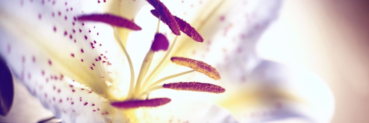 Joliemine's profile banner image
