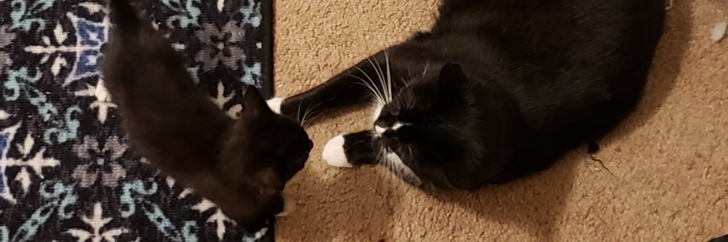 Under Cover Hedgie banner