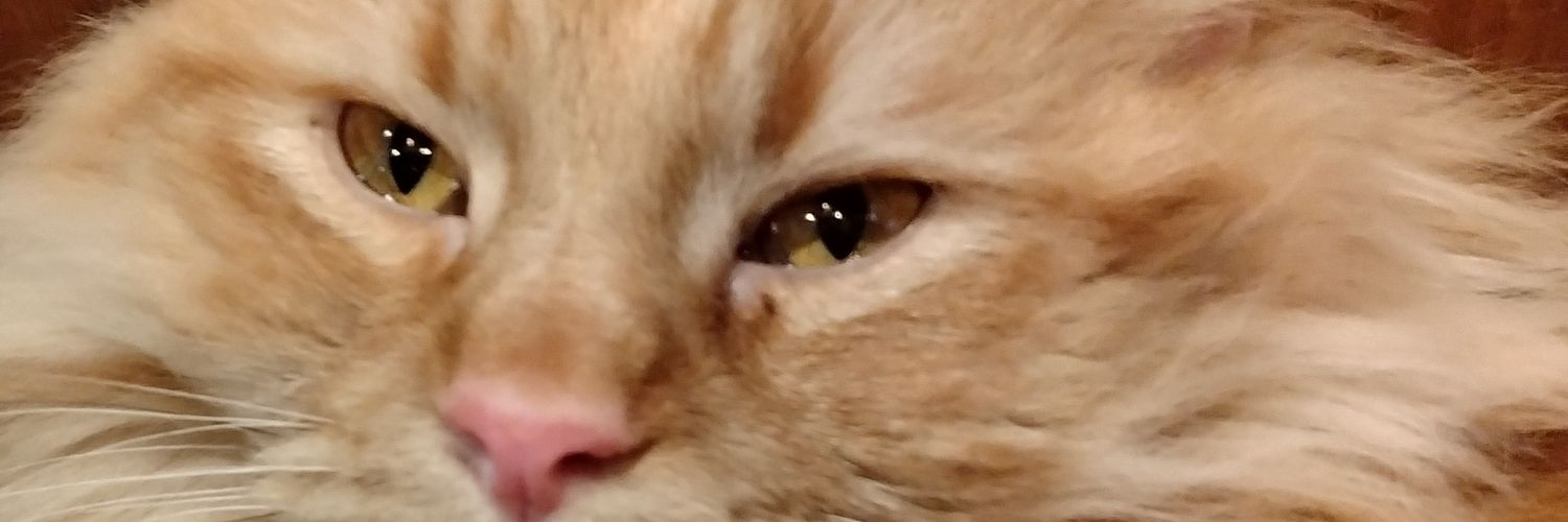 せかい banner