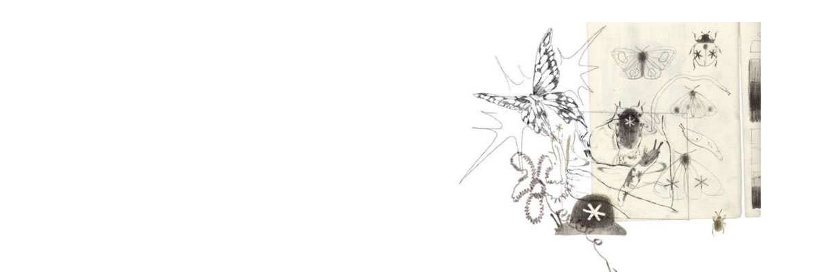 aiganymreads's profile banner image