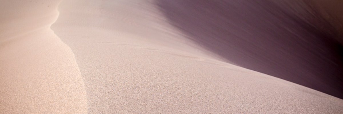Eric Miller banner