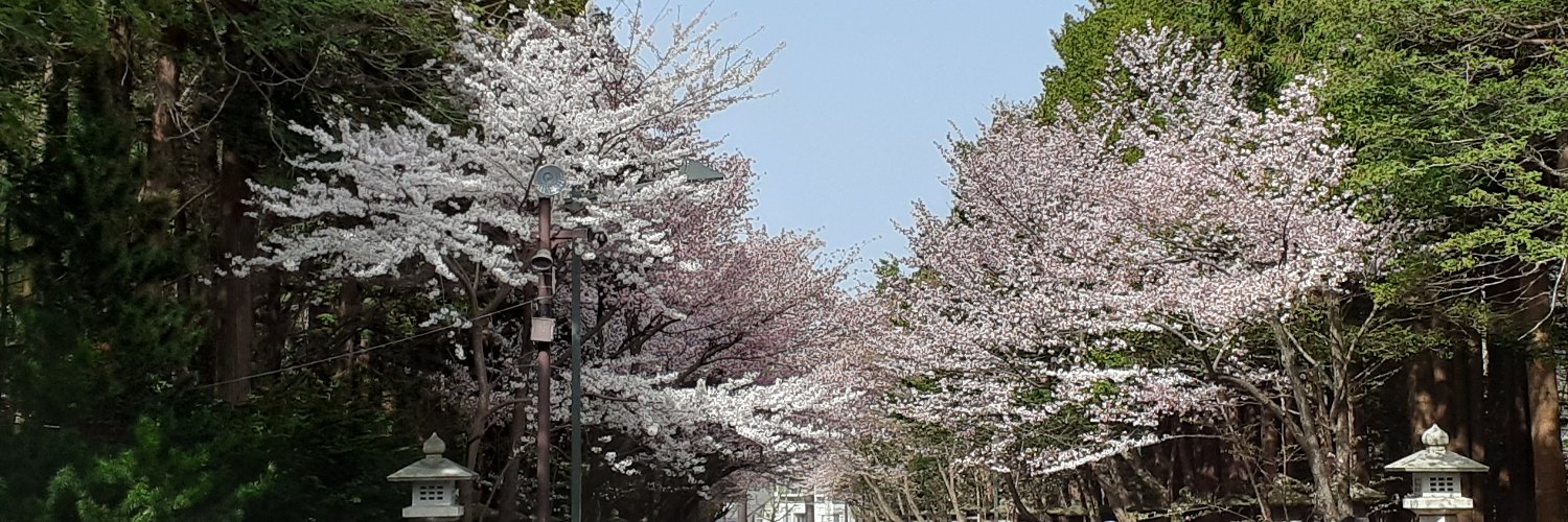 リノ@伊藤大海👼 banner