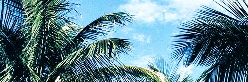 julobbb's profile banner image