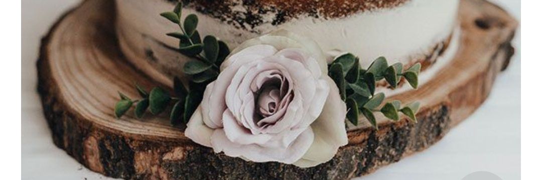 brookieebear14's profile banner image