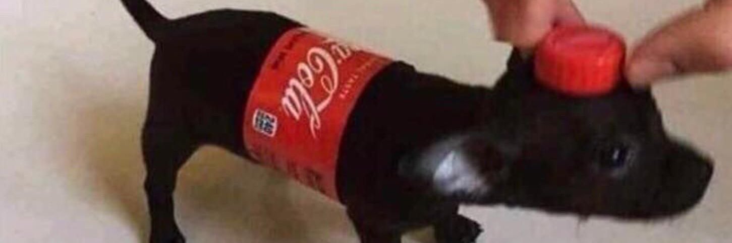 Frases de Bryant Myers banner