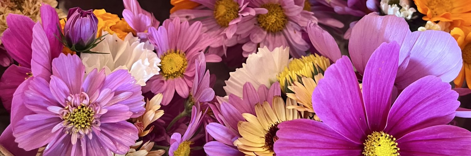 Melinda Parrish banner