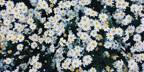 harrycxtine's profile banner image