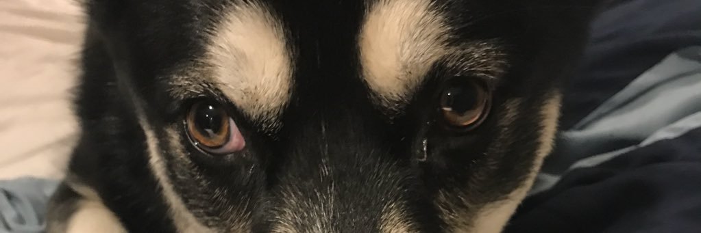 Nickbaldini26's profile banner image