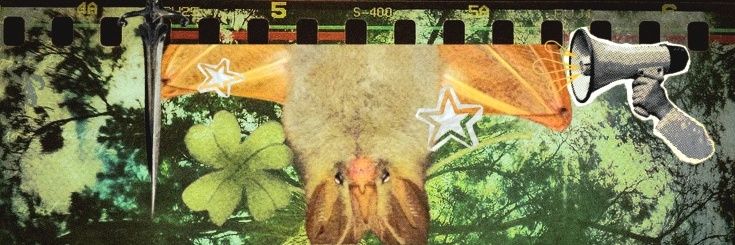 ziggy 🦇 | SAW FOO!! 🛸 banner