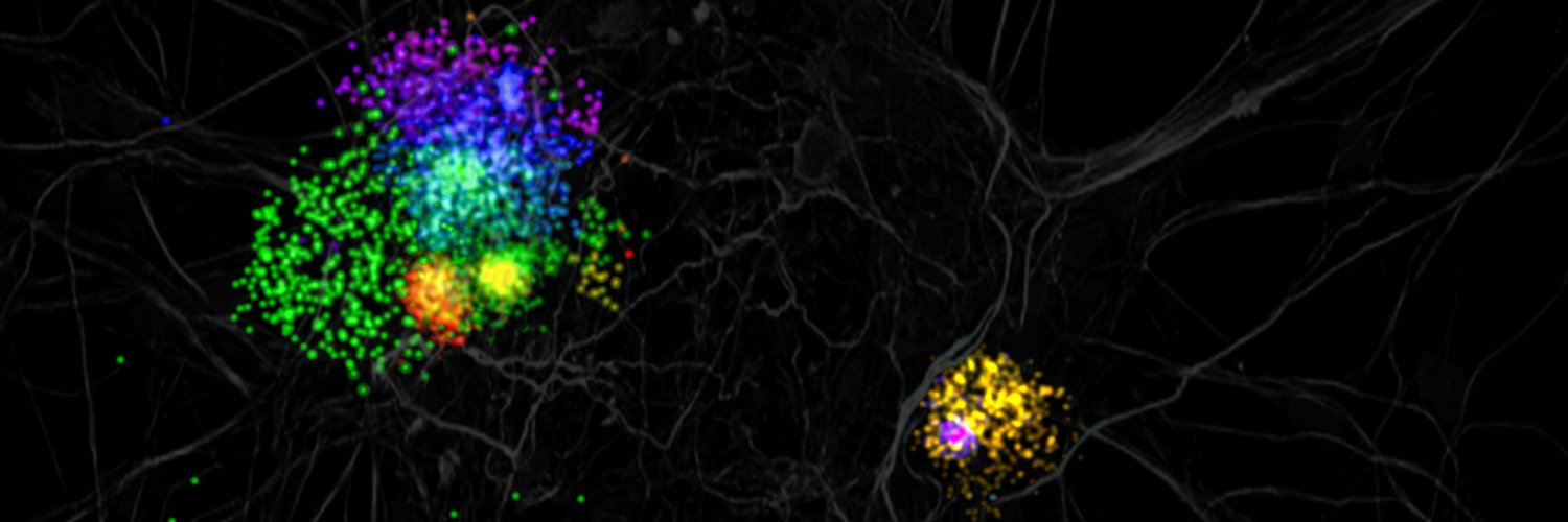 Tofaris Lab's banner