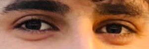 Sadam banner