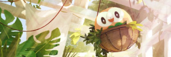 killingkota Profile Banner