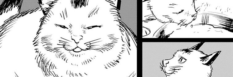 csmposting's profile banner image