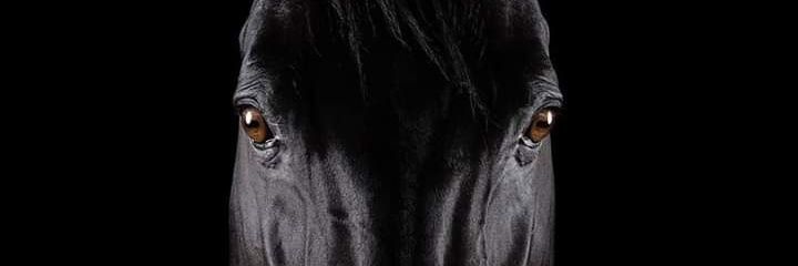 javiercara's profile banner image