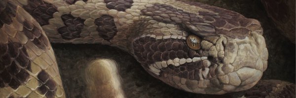 SSAR2024 Profile Banner