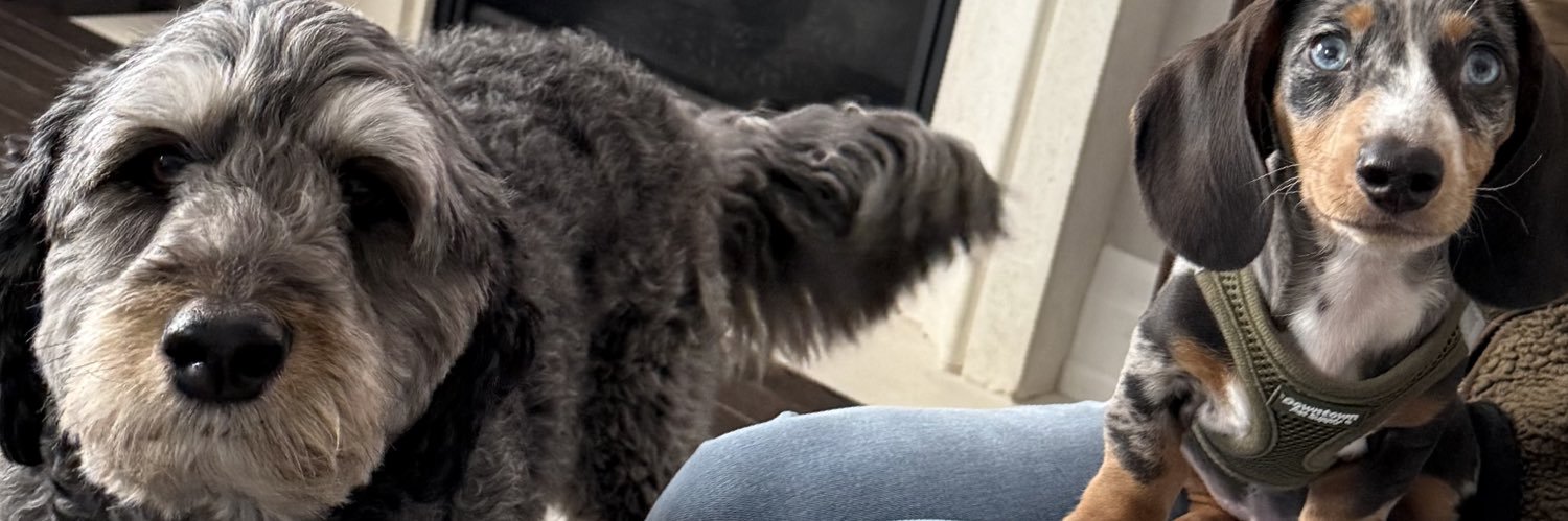 Matt Vukojevic banner