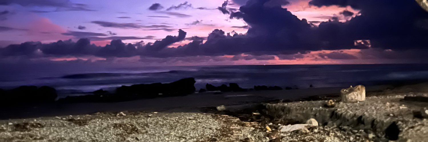 Liz_Dyz's profile banner image