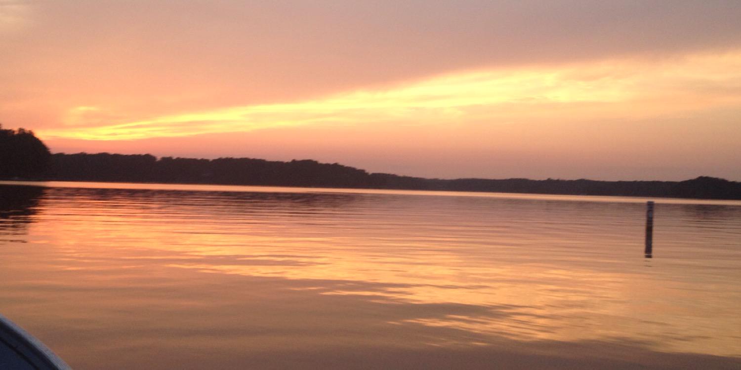 PhilipDavidson9's profile banner image