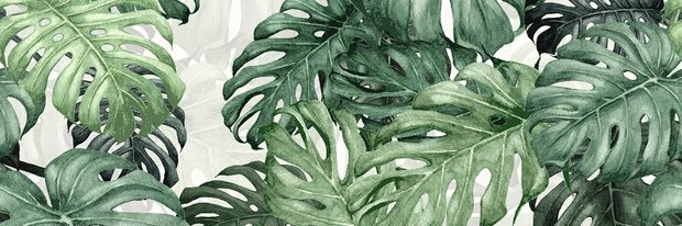 pollockera's profile banner image