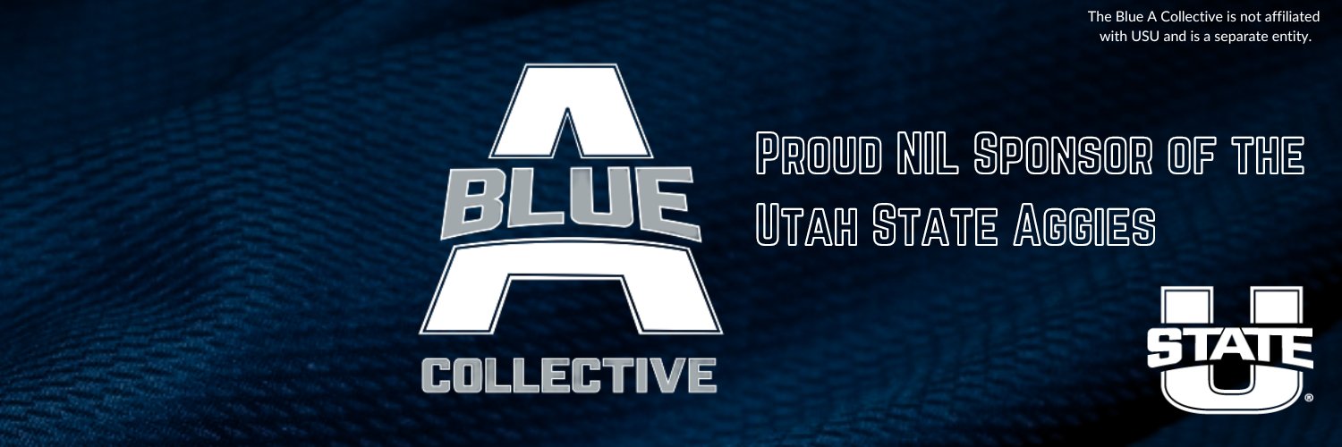 Blue A Collective's banner