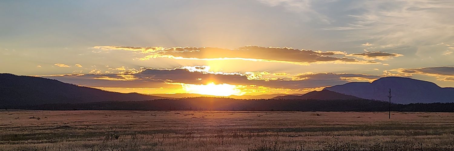 TJ banner