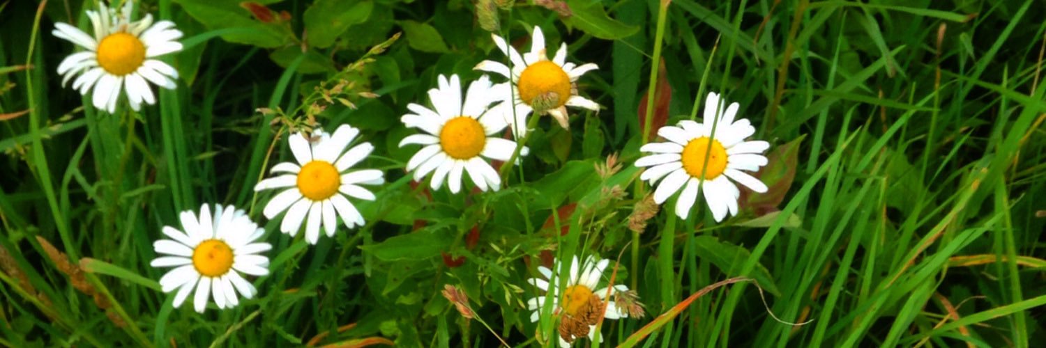 _abbeyonce's profile banner image