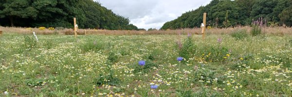 UlleyRanger Profile Banner