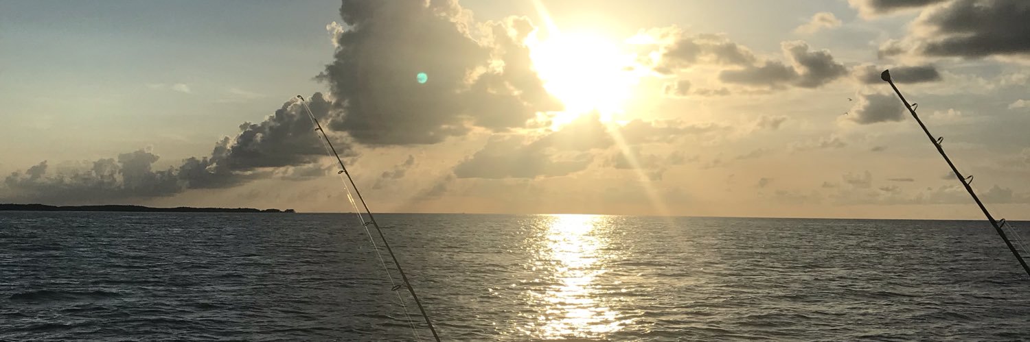 mncurtis22's profile banner image