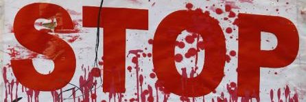 Mentemovida banner