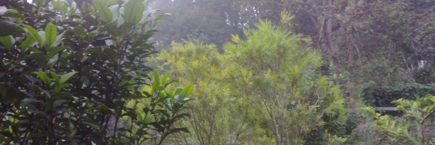 badar11441's profile banner image