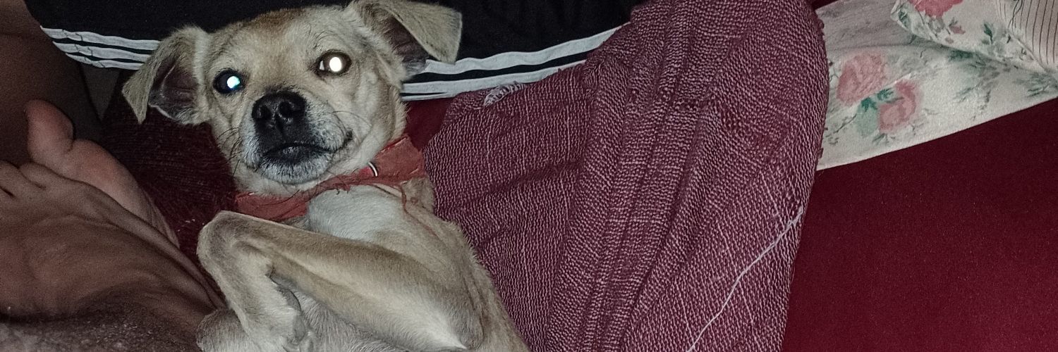 AlexQuinterosOk's profile banner image