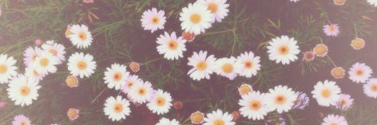 emmorrison17's profile banner image