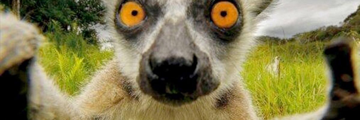 chaddsloan's profile banner image