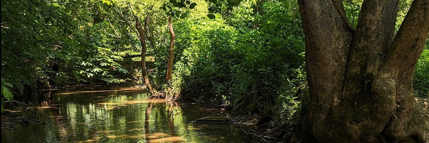 Snobs Scenery banner