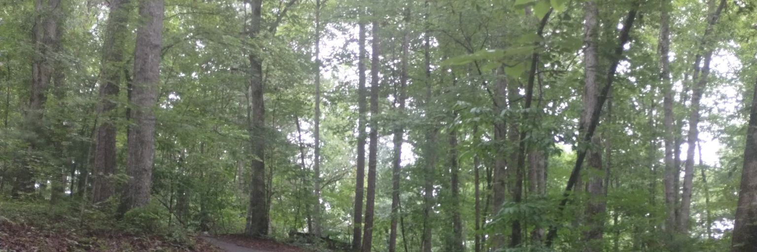 Excal-Fenix Orus banner