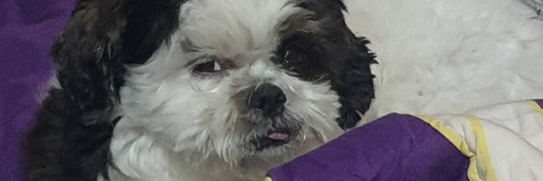 derrekjt Profile Banner