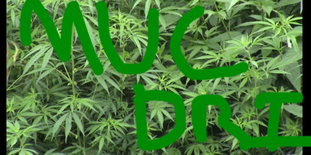 MucDri's profile banner image