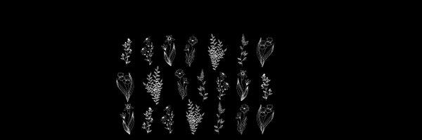 saracamol Profile Banner