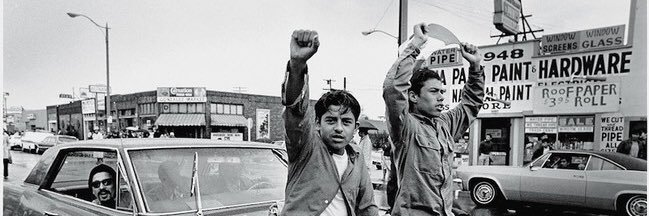 SON OF JESUS 🦍 banner