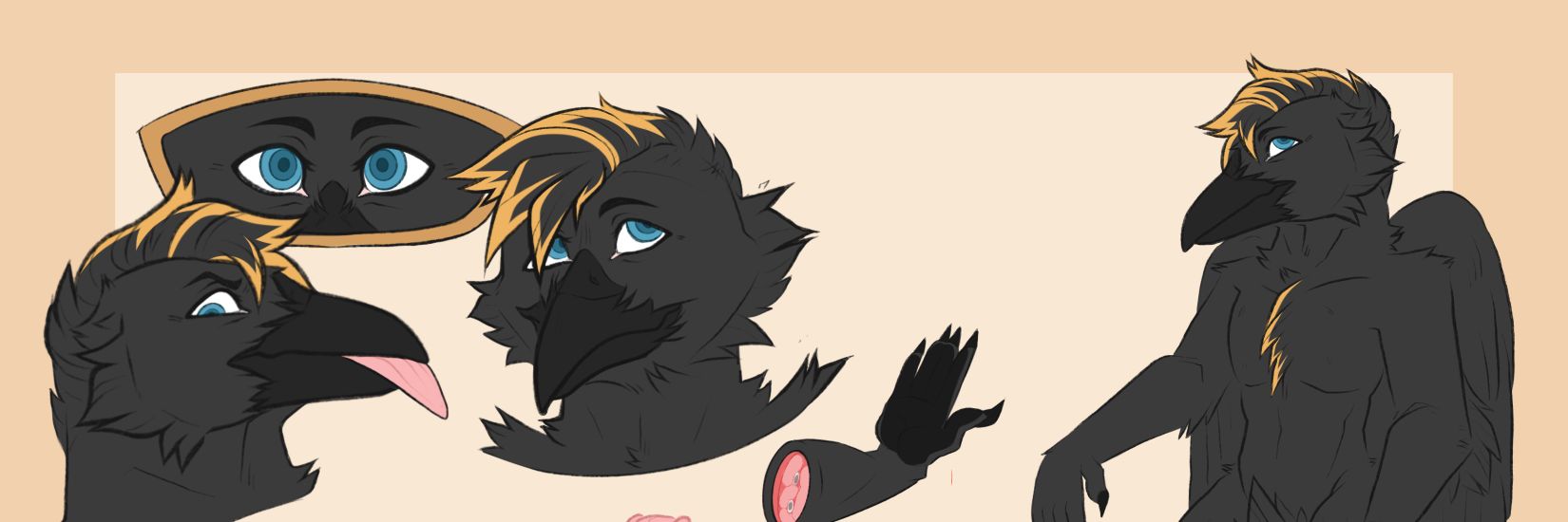 A raven named Matthew banner