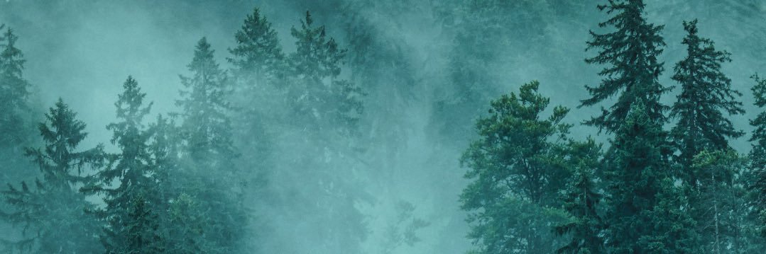 LiteratureBitch's profile banner image