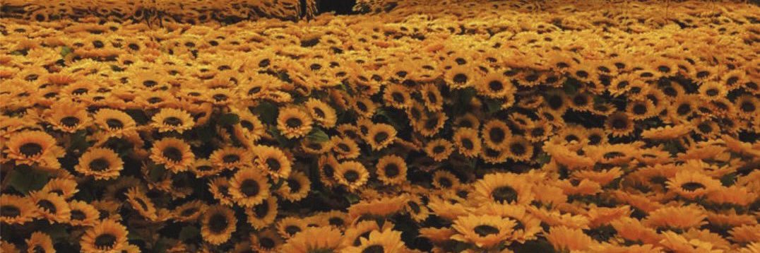 MichBrizuela's profile banner image