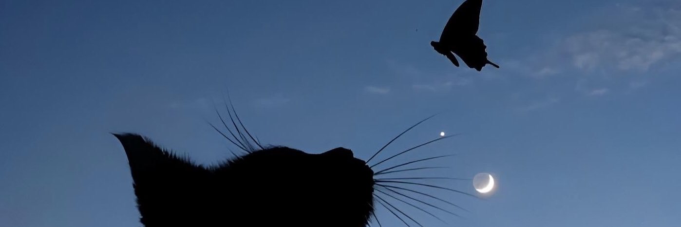 RyNoKii's profile banner image