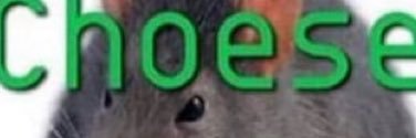 eyebrowgoob's profile banner image