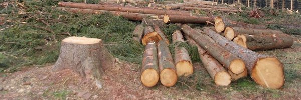 woodmanpost Profile Banner