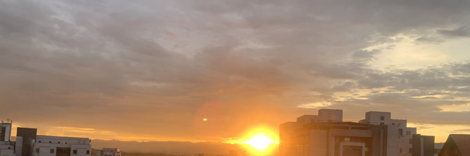 stellacanoar's profile banner image