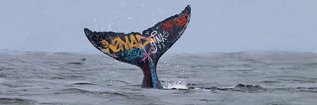 othomaslaus's profile banner image