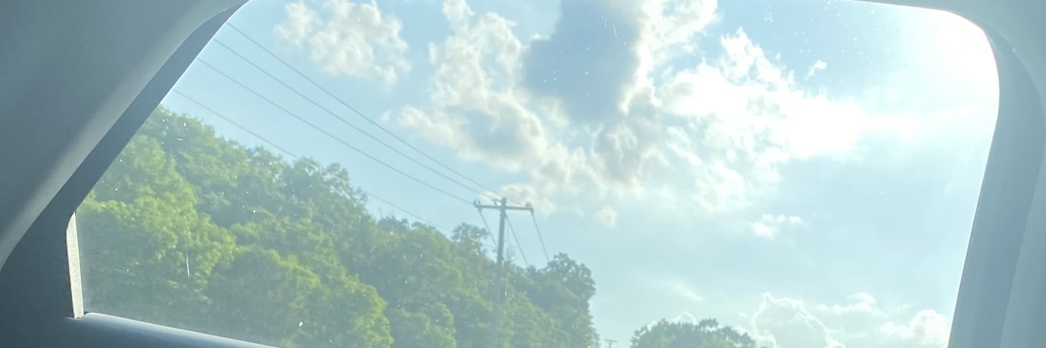 BleckmanLizzy's profile banner image