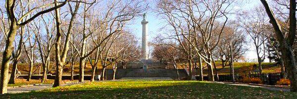 Fort Greene Patch banner